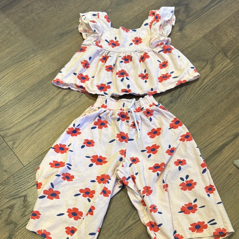 Zara Floral Ruffle Top and Pants Set